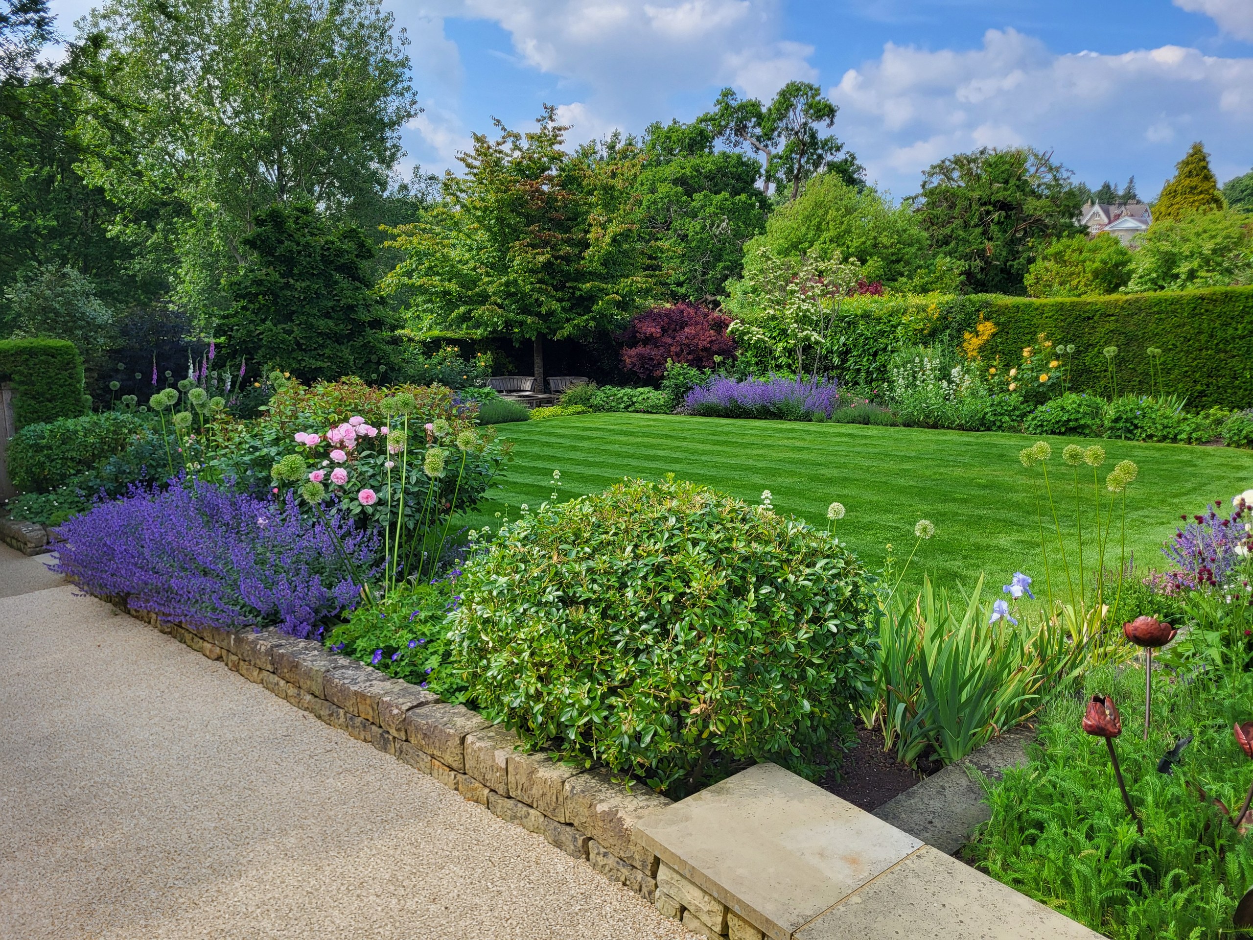 tunbridge-wells-raised-flower-border-lawn-wealden-country-landcraft Stone-edged flower border with pink and purple blooms beside a striped lawn in Tunbridge Wells.