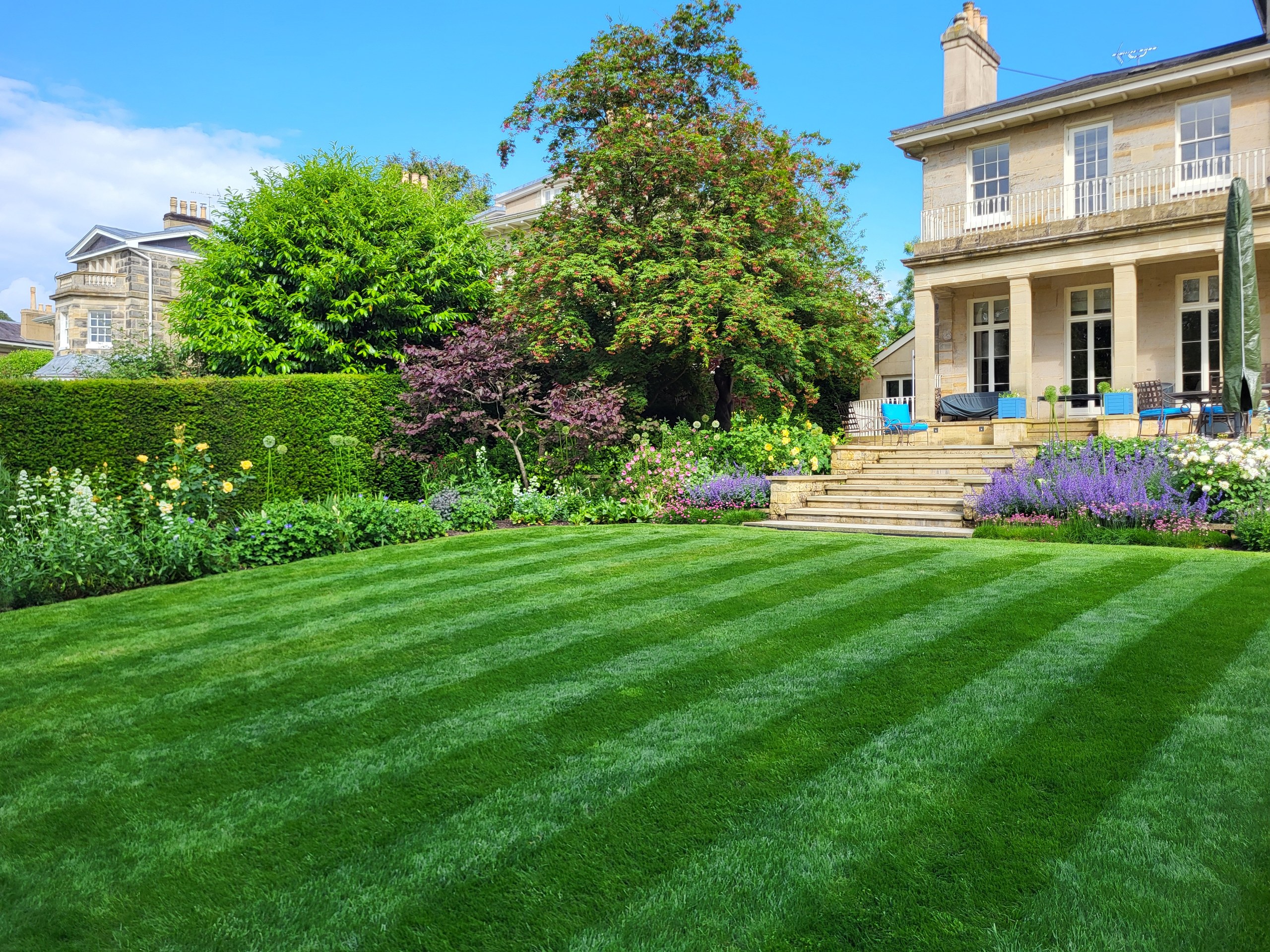 Striped lawn and planted borders leading up stone steps to the house terrace in Tunbridge Wells.
