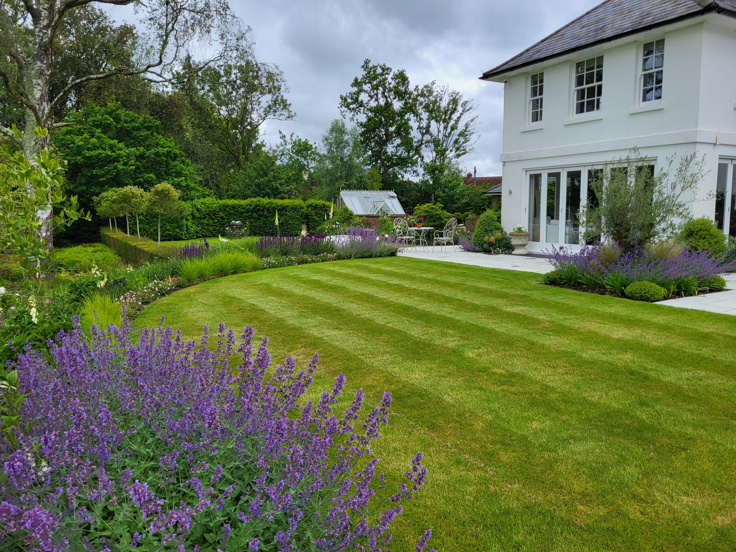 Striped lawn beside a white house with a sweeping purple flowering border in Wadhurst.